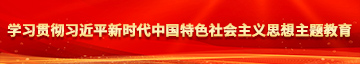 大屌操美女在线学习贯彻习近平新时代中国特色社会主义思想主题教育